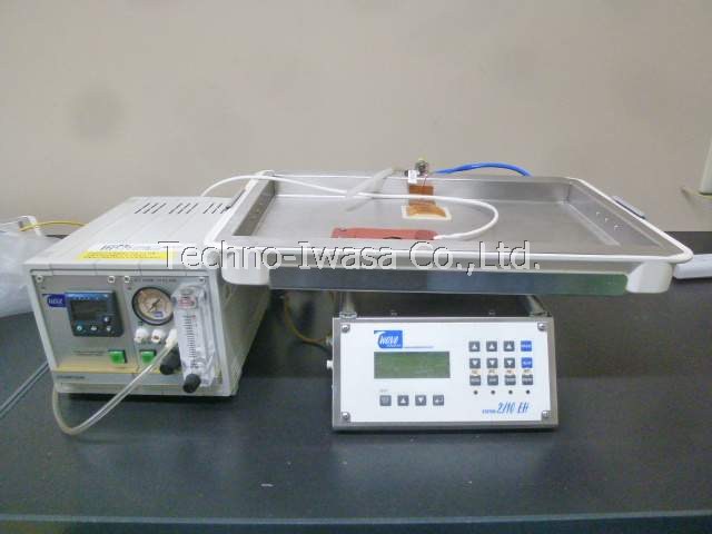 ��-�ތ^�|�{���u